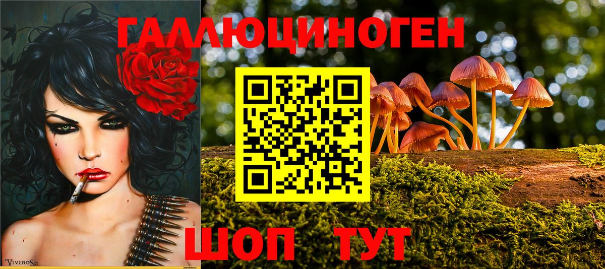 Псилоцибиновые грибы мухоморы Аргун
