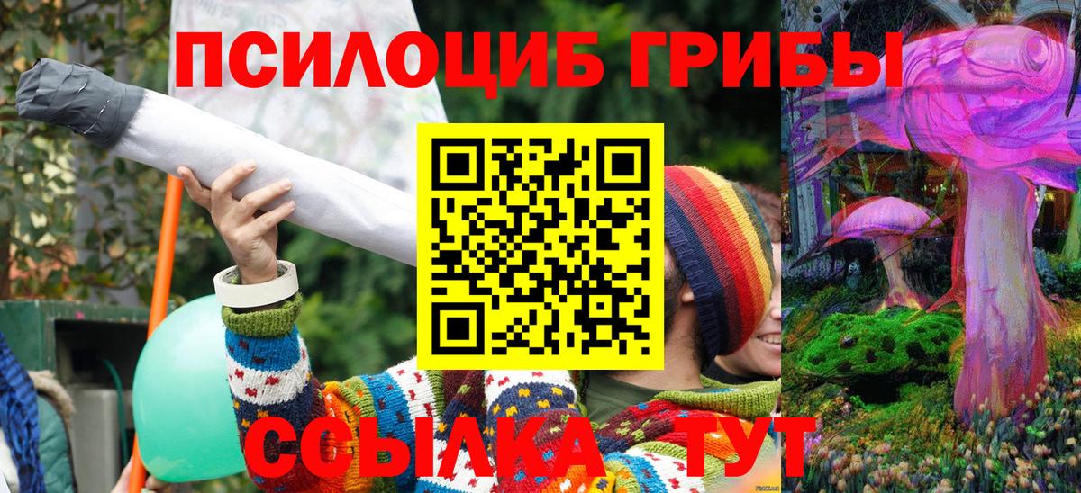Аргун  Галлюциногенные грибы прущие грибы  Вход с VPN 